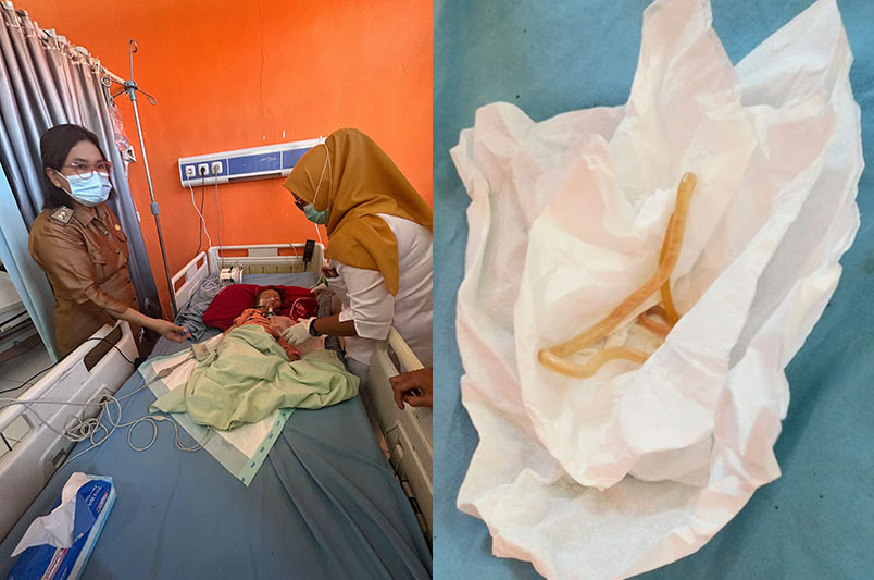 Balita Seluma Keluarkan