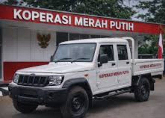  Viral! Impor 105 Ribu Pikap untuk Kopdes Dipertanyakan, Ini Respons Mendag