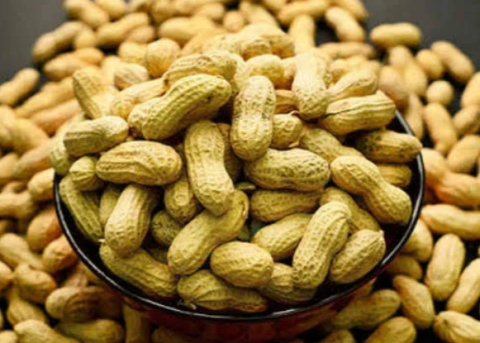 Rutin Makan Kacang Tanah, Bisa Bikin Panjang Umur, Studi Ini Buktikan 