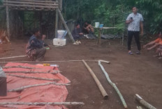 Geger, Warga Pematang Donok Temukan Mayat di Pondok Kebun, Kondisinya Mulai Membusuk