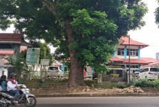  Inspektorat Rejang Lebong   Utamakan Pemulihan KN