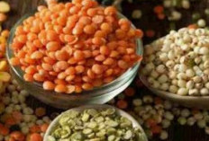 Kacang Lentil Jadi Pilihan Diet Sehat Alami  dan Kaya Serat, Ini Manfaat dan Cara Mengonsumsinya