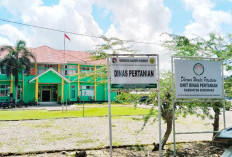 Lindungi Nelayan Lewat Program Jaminan Sosial, Ini Harapannya