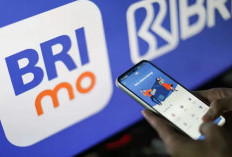 BRImo, 3 Besar Aplikasi   Keuangan Paling Diminati, Ini Daftar Lengkap Aplikasi Lainnya