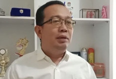 Seluma Bebas Blankspot,   30 BTS Dibangun