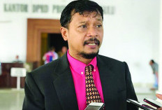 Pilkada, Gerindra Tunggu Pleno, Ini Kata Ketua DPD Partai Gerindra Provinsi Bengkulu