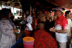 Blusukan Pasar, Dani Disambut Antusias , Kunjungi Pasar Panorama, Pasar Minggu dan Pasar Pagar Dewa  