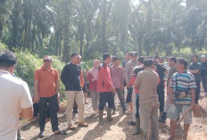 Ikut Perbaiki Jalan, Bupati   Seluma Kirim Alat Berat