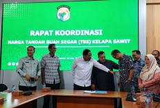 Sebut Petani Cuma Kambing Hitam, Wagub Bengkulu Bongkar Sindikat ''Uang Asam'' di Pabrik Sawit
