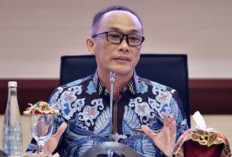 Jadwal Terbaru, BKN Minta Instansi Segera Usulkan NIP CPNS dan PPPK 2024 