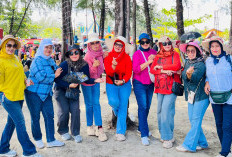 Antusiasme Festival Tabut, Pengunjung Beri Masukan