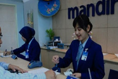 Bank Mandiri Buka Lowongan Kerja, Pendidikan Minimal S1, Buruan!