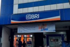 KUR BRI Rp 200 Juta, Tenor hingga 60 Bulan, Berikut Syaratnya