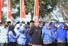 Horee, PNS Bisa Naik Pangkat Tanpa Tes, Wajib Penuhi Syarat Ini