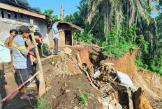 Longsor di Desa Pondok Panjang, Dinsos Mukomuko Siap Salurkan Bantuan