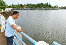 Desa Batu Lambang Sambut Bantuan   Bibit Ikan untuk Wisata Tebat Gelumpai