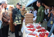 Berjibaku Turunkan Inflasi, Pemda Provinsi Bengkulu dan BI Gelar Pasar Murah di Wilayah Ini