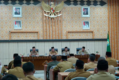 Data 794 Honorer Pemprov Bengkulu Dihapus, Berikut Penyebabnya 