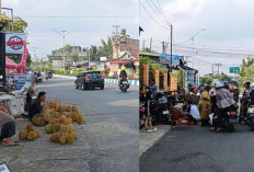 Musim Panen Tiba, Bupati Ingatkan Pedagang Durian Jangan Ganggu Trotoar dan Kebersihan Kota