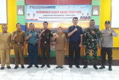 4 Kecamatan Sasaran   Audit Kasus Ini