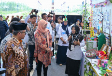 Kemendikdasmen Dorong Layanan Pendidikan Paud di IKN, Perkuat Kompetensi Guru, Melalui Program Ini 