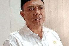 Pemprov Bengkulu Siapkan Seribu Lowongan Magang Kerja, Sasar Lulusan Ini