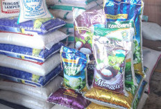 Harga Beras Karungan Kembali Naik, Harga Eceran Stabil