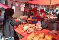 Harga Ayam Meroket Hingga Segini, Diperkirakan Hingga Awal Tahun