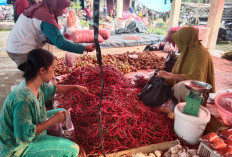  Harga Daging dan Cabai di Mukomuko Bertahan 