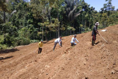 Masyarakat Diminta Manfaatkan Lahan Tidur, Ini Pesan Kepala Dinas TPHP Provinsi Bengkulu 