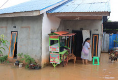 Banjir Mulai Mengancam, BMKG Bengkulu Minta Masyarakat Waspada