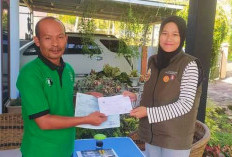  Coklit Data Pemilih 44 Persen, Ini Dia Data Hasil Coklit Per Kecamatan di Kota Bengkulu 