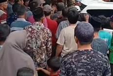 Ditimpa Pohon, Warga Kaur Meninggal, Begini Kejadiannya