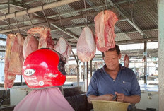 Idul Adha, Harga Daging Sapi di Kota Bengkulu Tak Turun, Tetap Bertahan Segini
