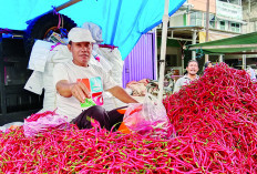 Harga Cabai di Kota Bengkulu Turun, Segini per Kg