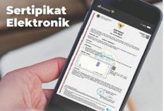 Tak perlu Datang ke BPN, 3 Cara Cek Sertifikat Tanah Secara Online