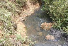 Pencemaran Sungai Terulang,  PT SSL Masih Bungkam, Sebelumnya Sempat Disidak Wabup