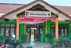 DBD di Mukomuko Meningkat,  Capai 545 Kasus, 5 Orang Meninggal, Ini Upaya Dinkes Lakukan Pencegahan