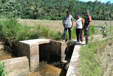 Bhabinsa Koramil Dampingi Program Pompanisasi, Untuk Atasi Masalah Ini di Kabupaten Bengkulu Selatan  