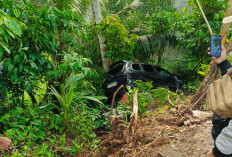 Avanza Terjun ke Jurang di Batu Lambang, Diduga Pelaku Tabrak Lari