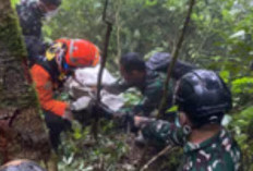  Sisa 1 Penumpang Pesawat ATR 42-500 Jatuh di Sulsel Belum Ditemukan, 2 Ditemukan Keadaan Utuh