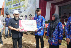 SADESAHE Dorong Ketahanan Pangan, Produksi Jagung di Desa Tanah Hitam Capai 6 Ton/Hektar