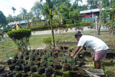 Tanam Sayuran Tekan Inflasi, Ini Pesan Kepala Dinas Ketahanan Pangan Provinsi Bengkulu,