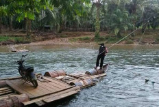 Kejar Fungsi Darurat, Pemkab Mukomuko Prioritaskan Struktur Utama Jembatan Lubuk Silandak