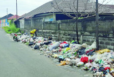 Galakkan Gotong Royong Atasi Sampah, Ini Ajakan Kepala DLH Kota Bengkulu untuk Warga