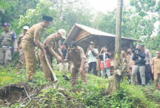Gelar Penanaman Pohon di DAS,   Seluma Siapkan 1000 Pohon