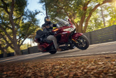  Rayakan Setengah Abad, AHM Hadirkan Honda Gold Wing Edisi Spesial