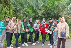  Guru di Benteng Gotong Royong Bersihkan Tepi Jalan