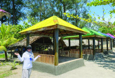 Pemkot Ajak Warga Nikmati Libur Lebaran di Pantai Panjang, Gazebo Gratis dan Harga Diawasi
