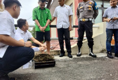 Polda Bengkulu Musnahkan Sabu dan Ganja, Segini Barang Buktinya